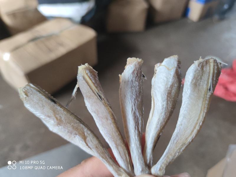 北部湾特产皮棍鱼红娘鱼干红头鱼干小鱼干鱼干货