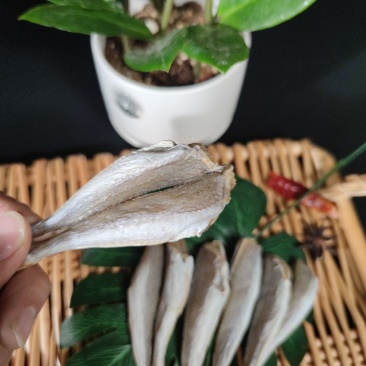北部湾特产皮棍鱼红娘鱼干红头鱼干小鱼干鱼干货