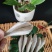 北部湾特产皮棍鱼红娘鱼干红头鱼干小鱼干鱼干货
