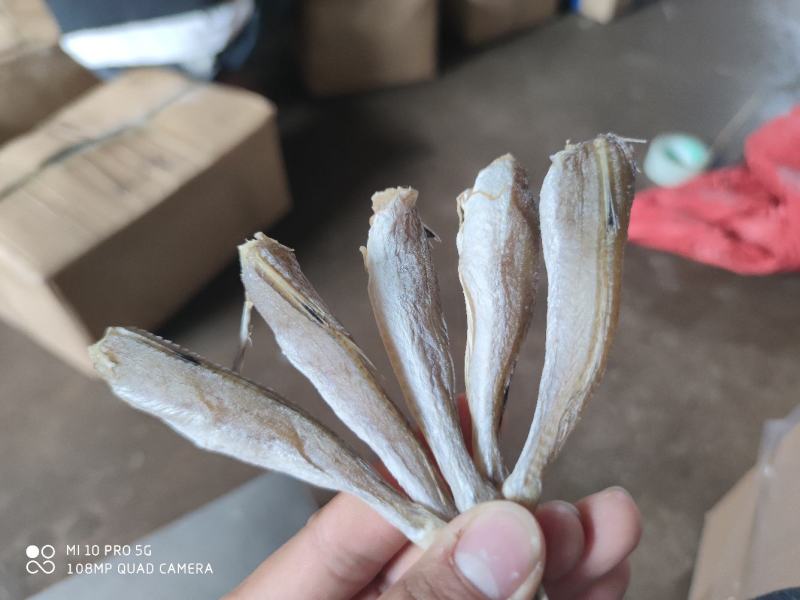 北部湾特产皮棍鱼红娘鱼干红头鱼干小鱼干鱼干货