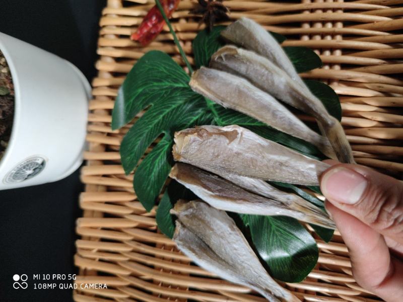 北部湾特产皮棍鱼红娘鱼干红头鱼干小鱼干鱼干货