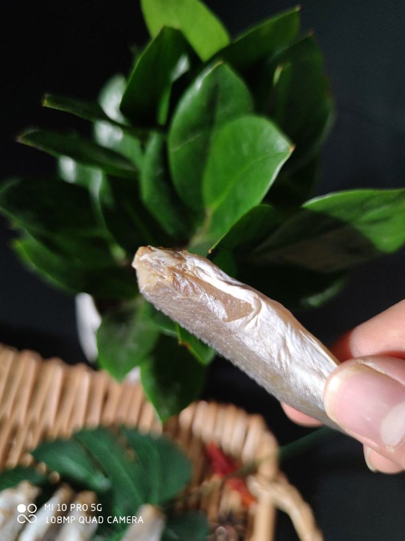 北部湾特产皮棍鱼红娘鱼干红头鱼干小鱼干鱼干货