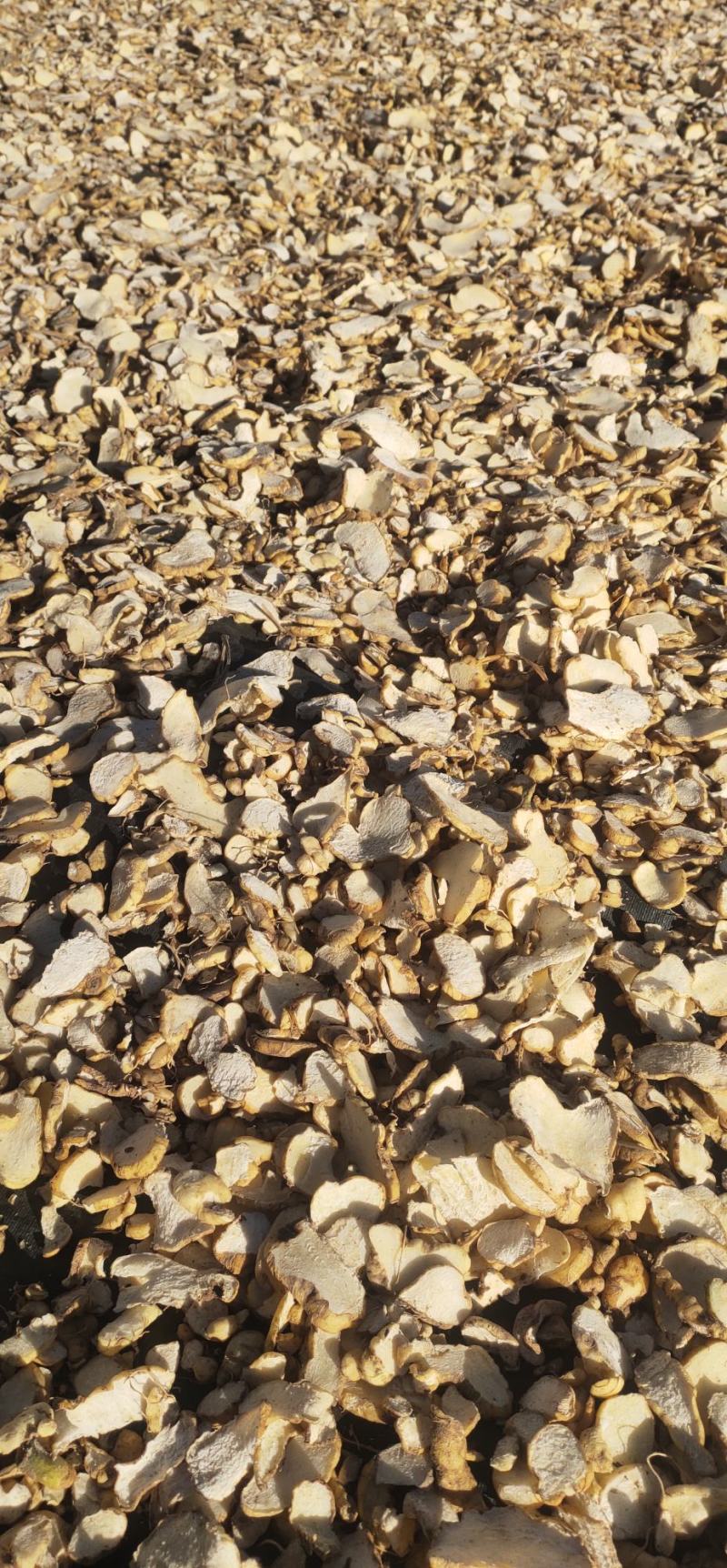 滇黄精，黄精干片，无硫，基地直供