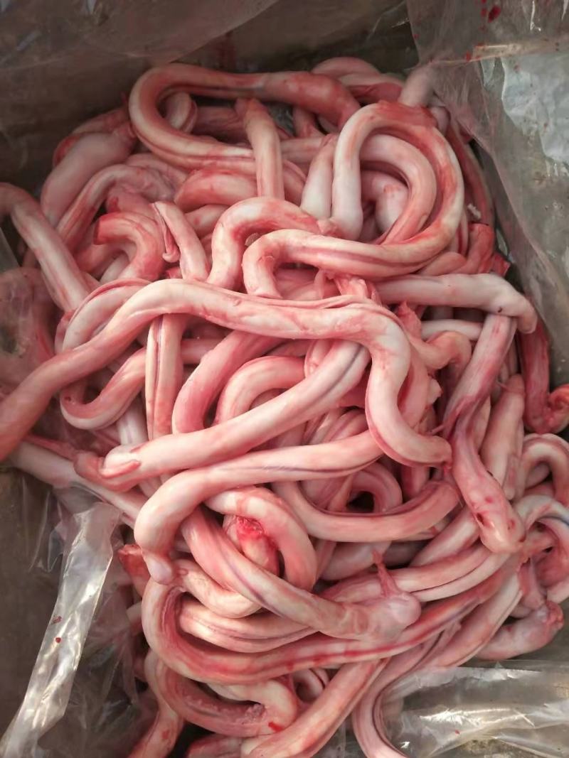 河北加工厂，精品羊宝，羊鞭，大量批发每天鲜货，现货批发