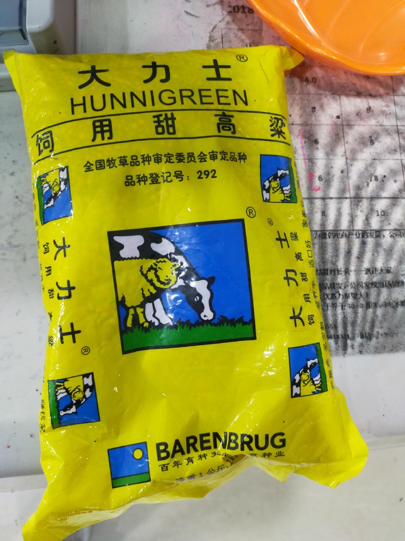 正宗牧草种子大力士甜高粱种子高丹草种子饲料草种子