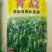 正宗牧草种子大力士甜高粱种子高丹草种子饲料草种子