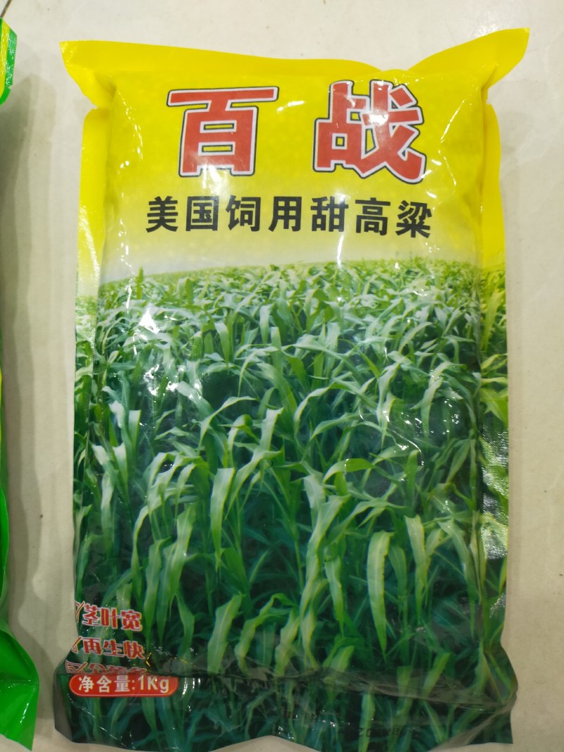 正宗牧草种子大力士甜高粱种子高丹草种子饲料草种子