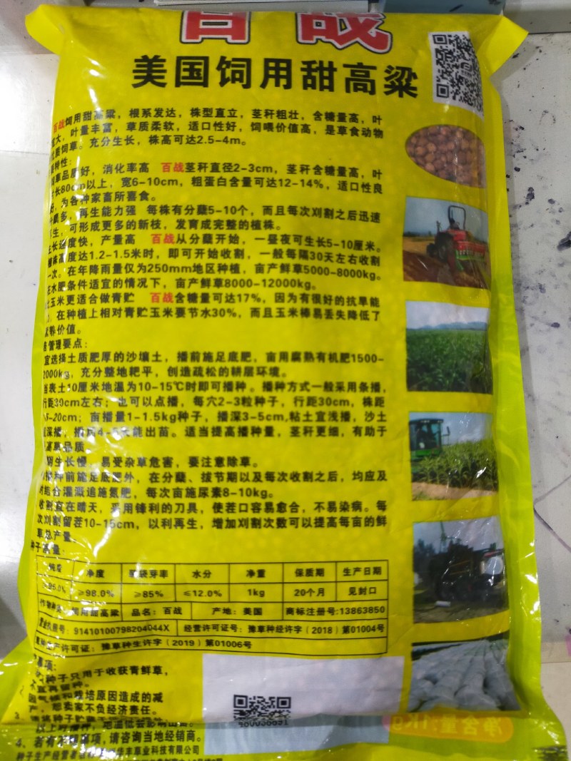 正宗牧草种子大力士甜高粱种子高丹草种子饲料草种子