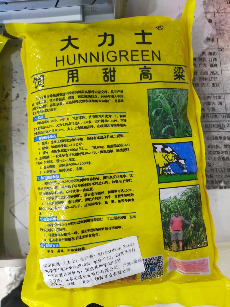 正宗牧草种子大力士甜高粱种子高丹草种子饲料草种子
