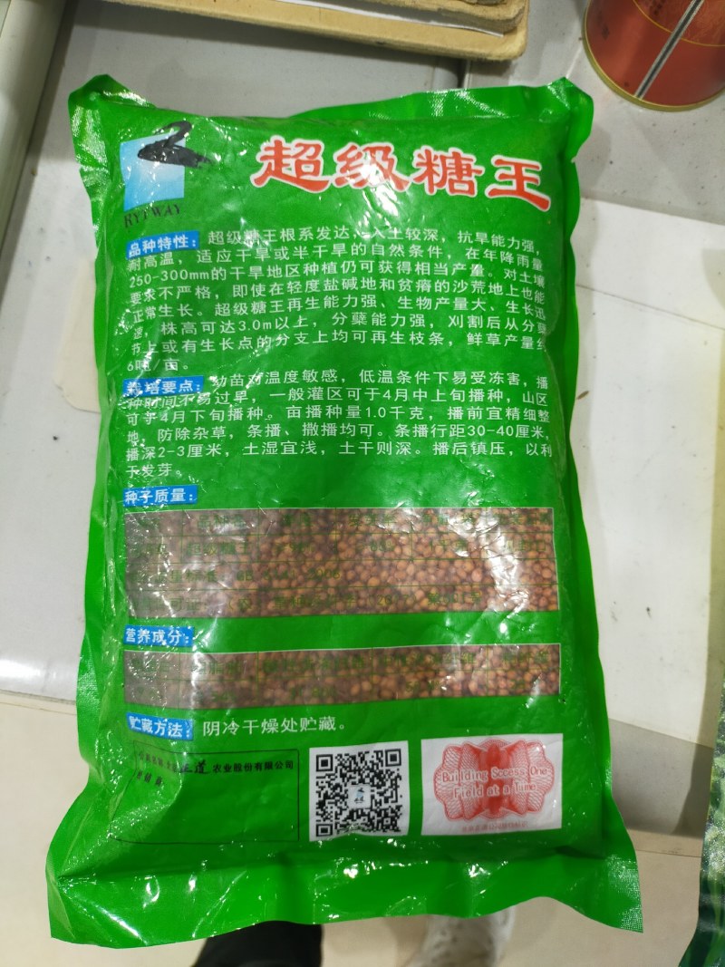 正宗牧草种子大力士甜高粱种子高丹草种子饲料草种子