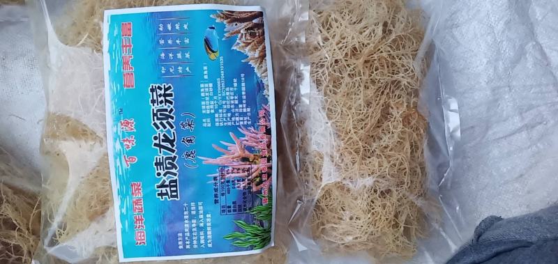 龙须菜（石花菜）海石花。。