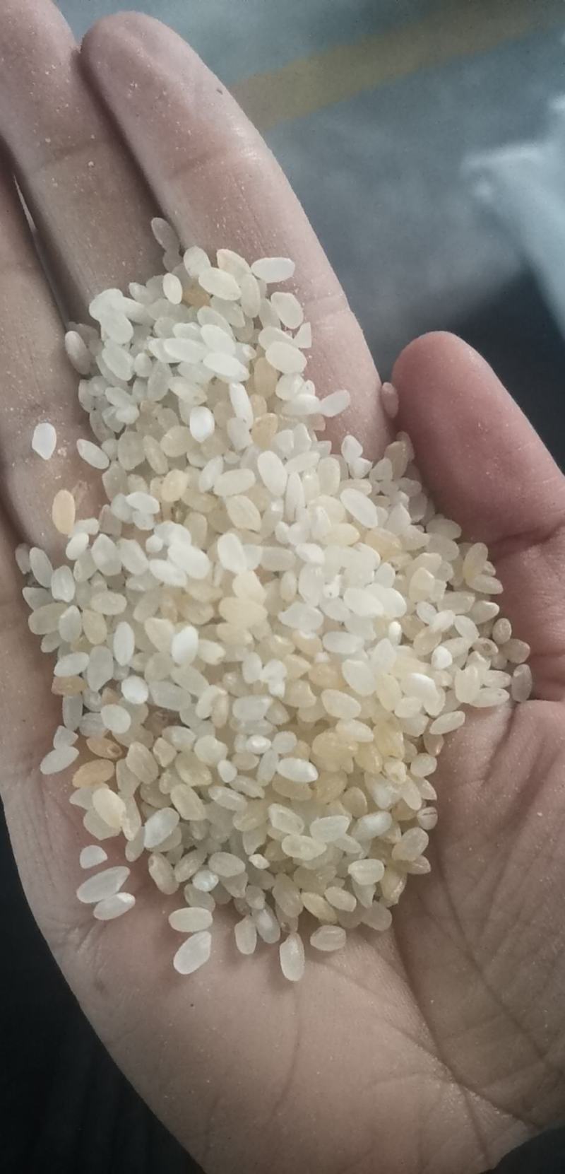 宁夏粳米色选米，现货一车，最近货紧张，有要的老板联系