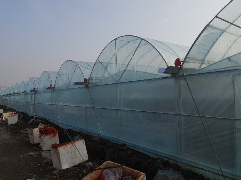 连栋种植棚扶贫种植项目全国发货上门安装