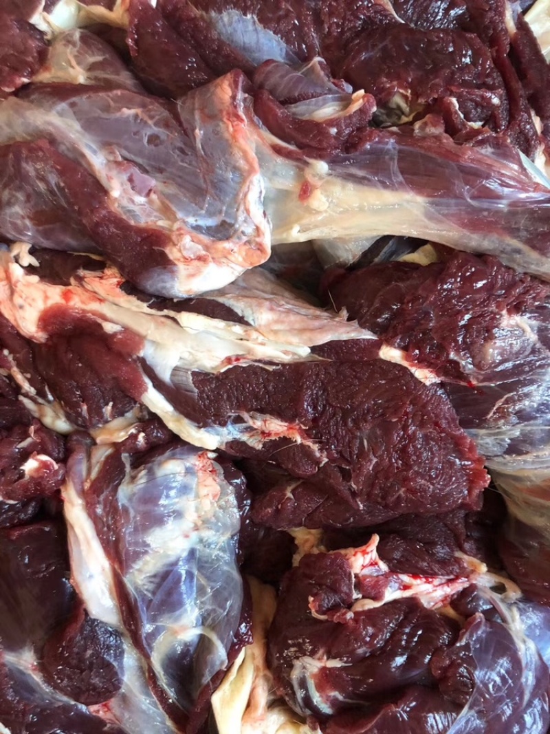 鹿肉新鲜现杀非熟食冷冻梅花鹿肉包邮新鲜冷冻包邮吉林鹿乡