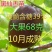 【新品热销】冬枣苗甜脆枣和田枣苗灰枣苗现挖现发