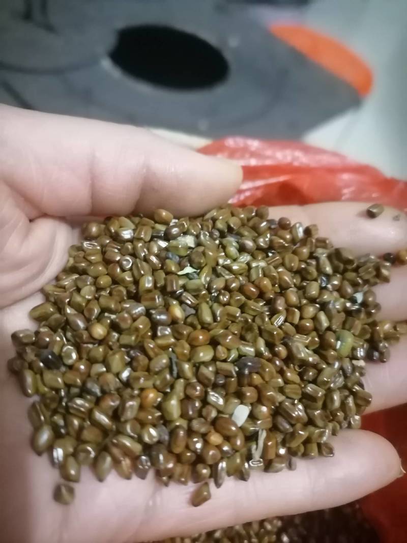 决明子野生，精选，可化验，一手货源！保证质量泡茶做枕头爽