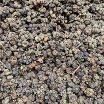 吴茱萸【包邮】三斤起发货可批量可零售量大从优