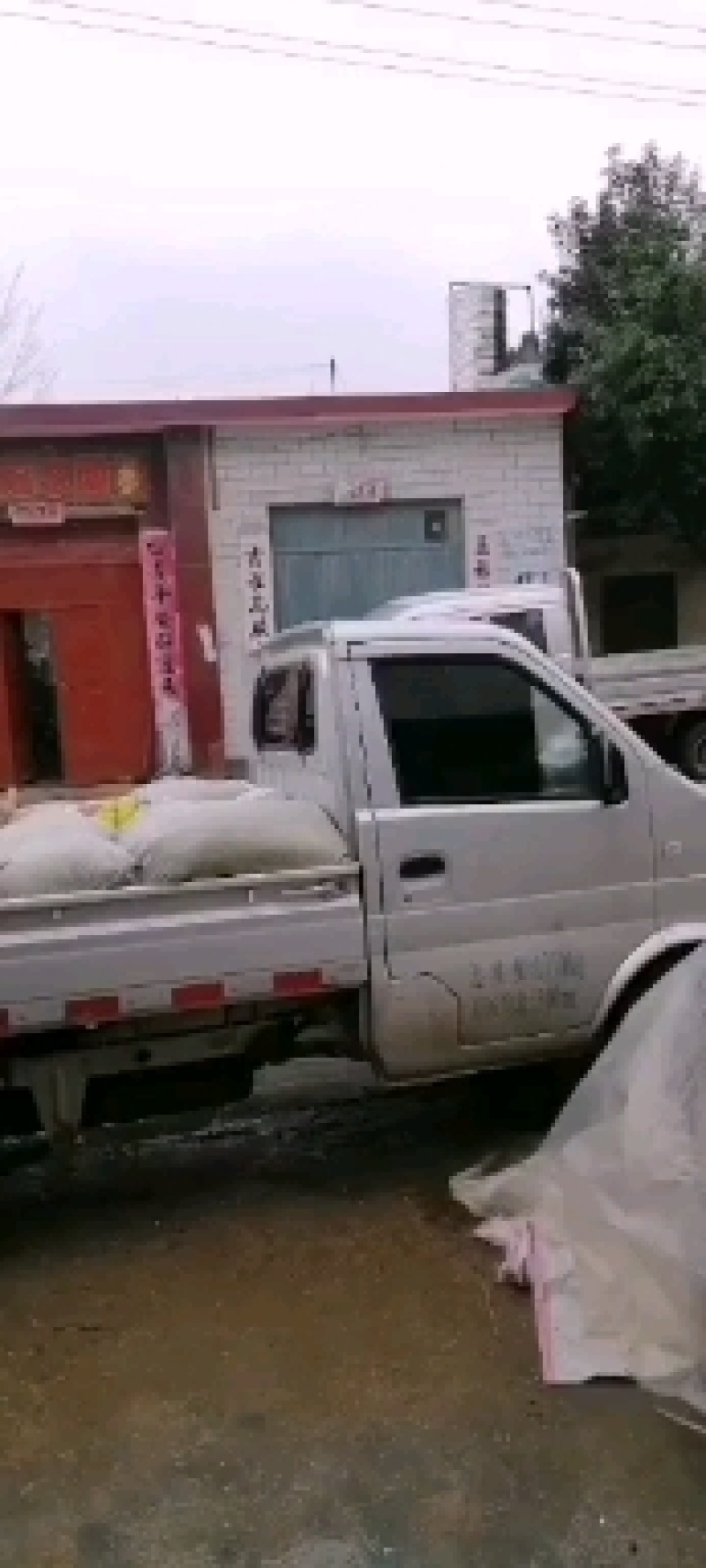 陈皮，陈皮茶质量！没得说欢迎砸单可泡茶一手货源保证质量