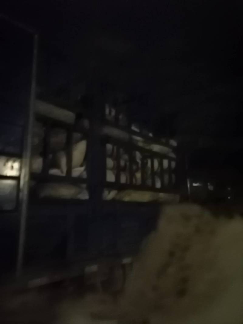 天丁野生！天丁通货！一手货源保证质量欢迎采购