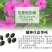 紫茉莉花种子夜来香盆栽地雷花园艺芳香花卉种子春播花籽