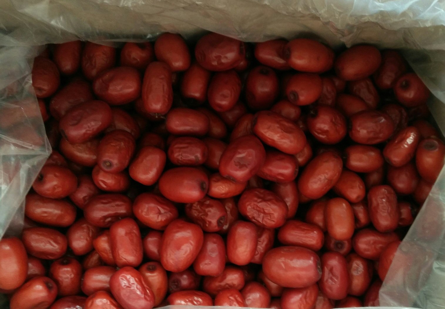 沙特耶枣实物图,展示其深棕色、饱满的果实形态 沙特耶枣实物图