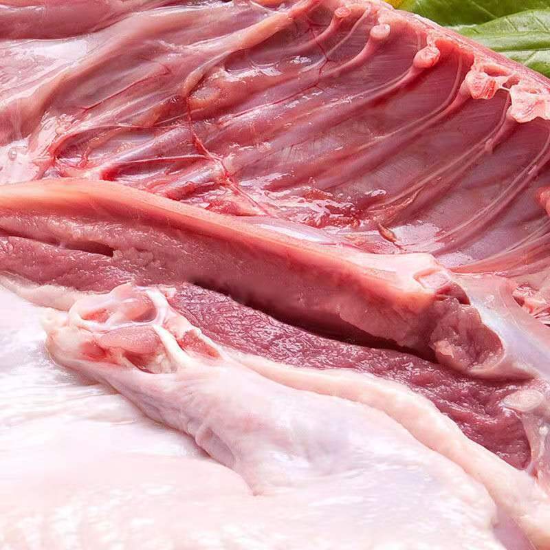 【现杀速冻】农村散养活体鸭子鸭肉新鲜土鸭白条鸭厂家直销