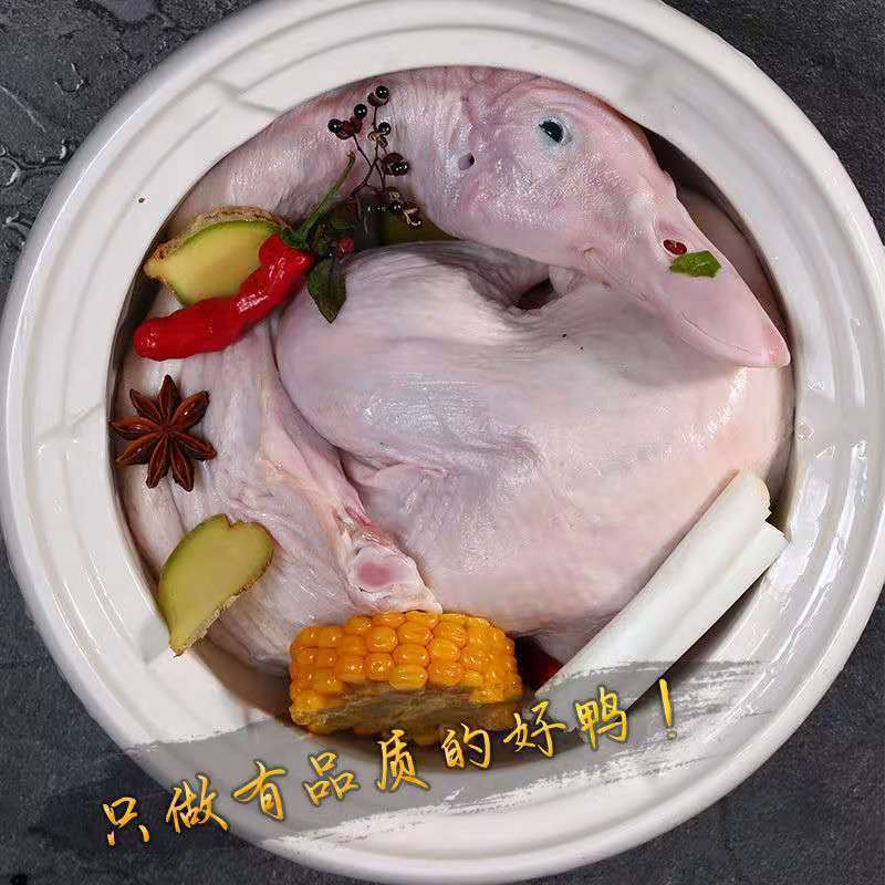 【现杀速冻】农村散养活体鸭子鸭肉新鲜土鸭白条鸭厂家直销