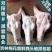 新鲜鹿头梅花鹿鹿头肉冷冻8斤以上发货长春鹿场家养