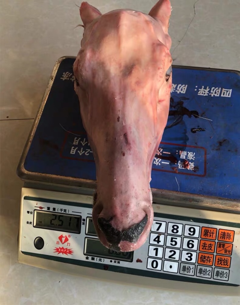新鲜鹿头梅花鹿鹿头肉冷冻8斤以上发货长春鹿场家养