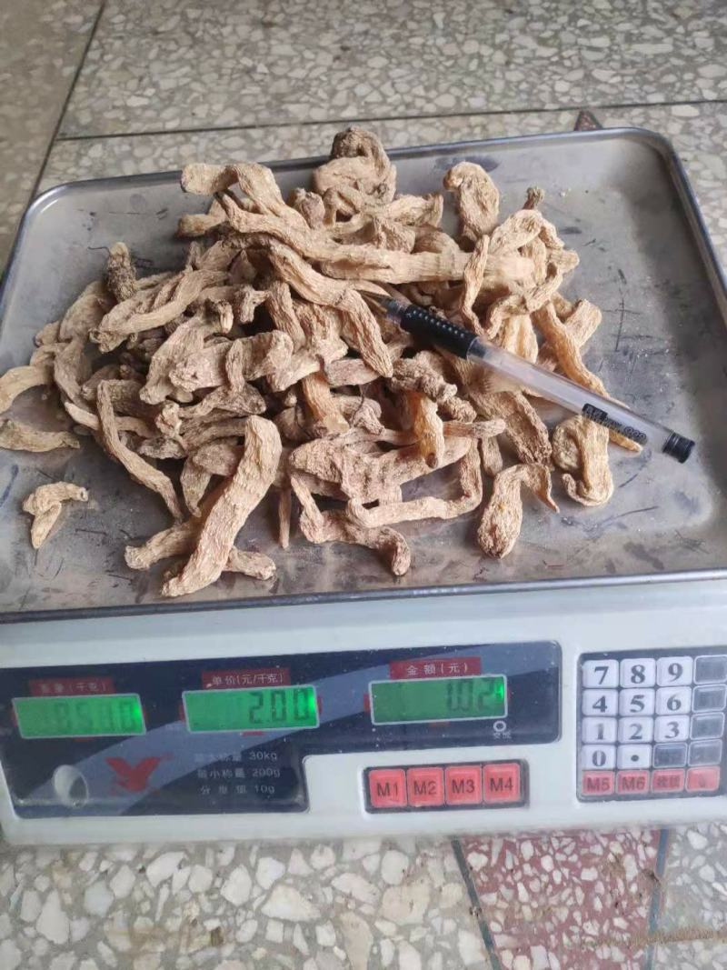 供应优质秦岭原生态天麻