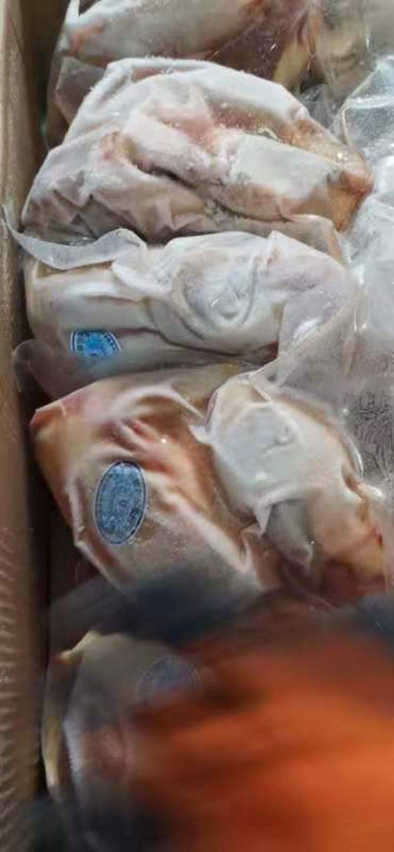 小规格蛋母鸡白条电商老母鸡精品