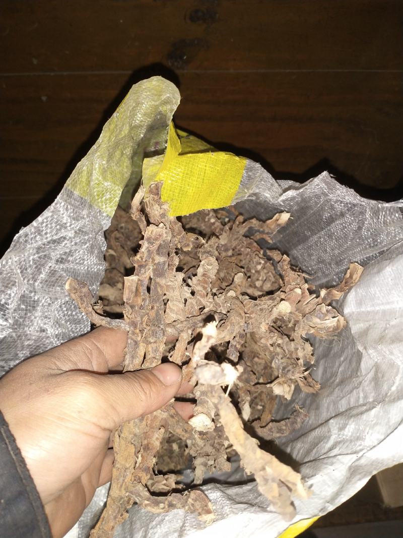 广东原生态石菖蒲，大批发零售