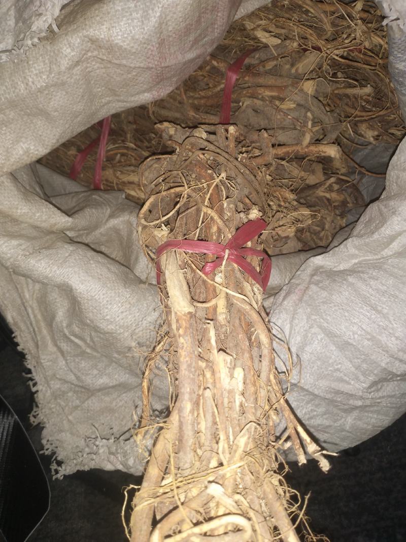 原生态五指毛桃一扎一斤左右货源充足