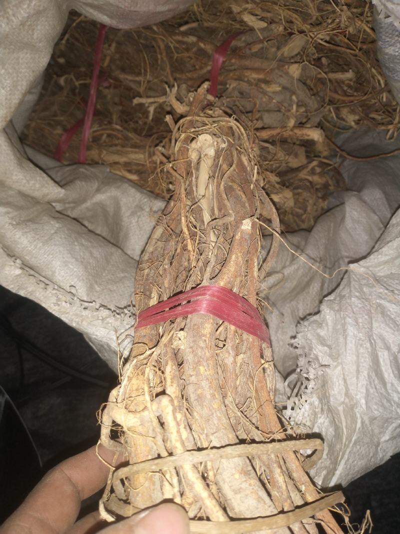 原生态五指毛桃一扎一斤左右货源充足