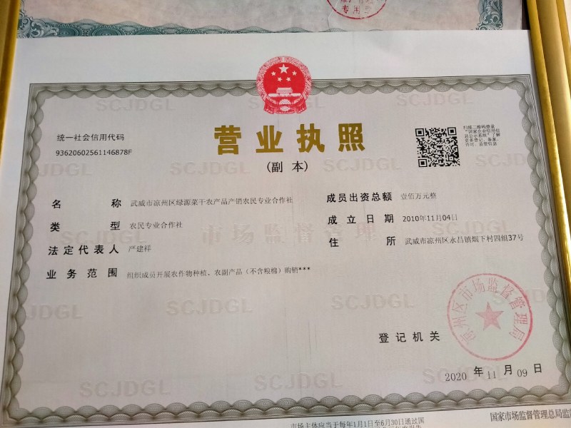 夏季新货产地直销散菜梅干菜白菜干（包邮）