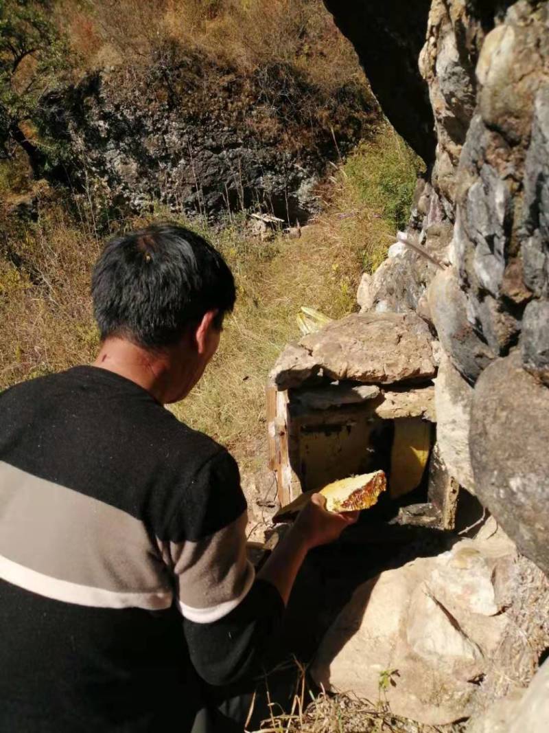 纯野生大冬蜜，你想要质量保证好的蜂蜜可以随时呼我，不作假