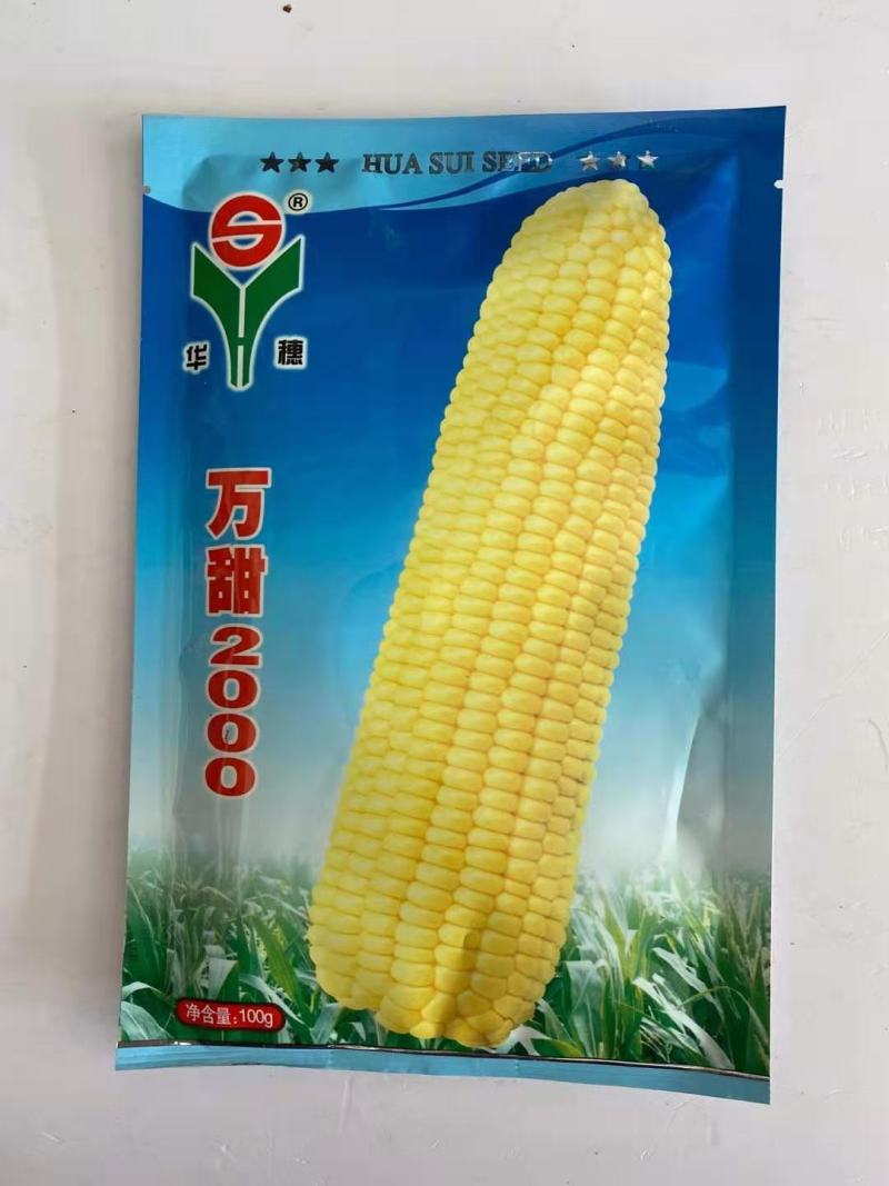 万糯2000糯玉米种子水果玉米种子大棒头彩糯品种