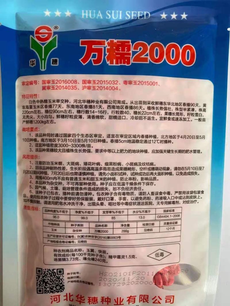 万糯2000糯玉米种子水果玉米种子大棒头彩糯品种