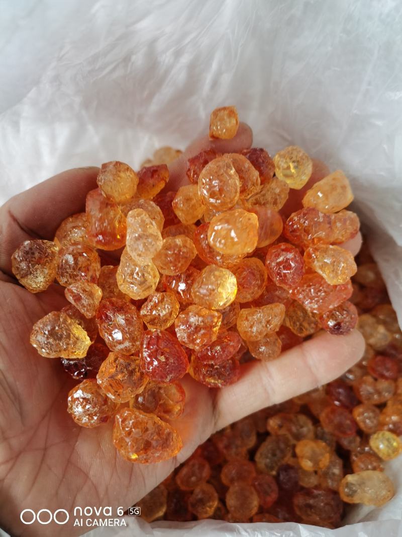 桃胶/原产地人工精修剪大中小无杂质颗粒桃胶