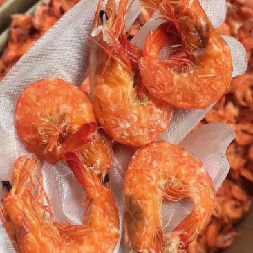 【精品】软壳对虾，软皮大虾，肉质有嚼劲，口味佳，