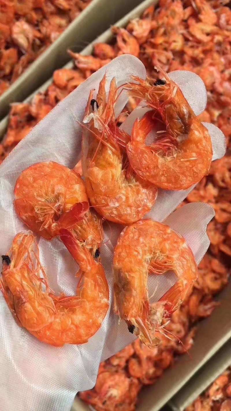 【精品】软壳对虾，软皮大虾，肉质有嚼劲，口味佳，