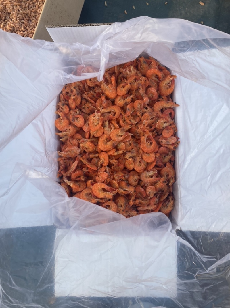 【精品】软壳对虾，软皮大虾，肉质有嚼劲，口味佳，
