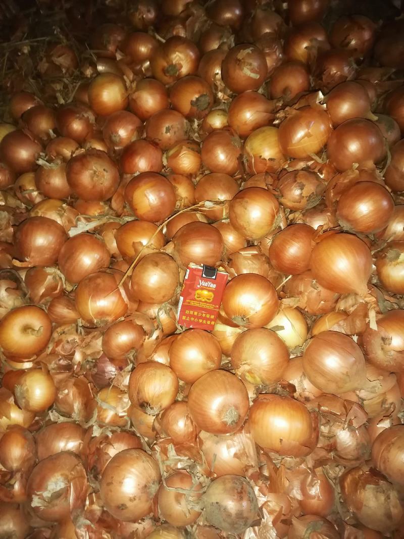 商品葱大量出库，最近价格高涨，每天的价格不一样。