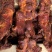 2021麻辣五香大块肉，火爆产品，吃票子了一手货源