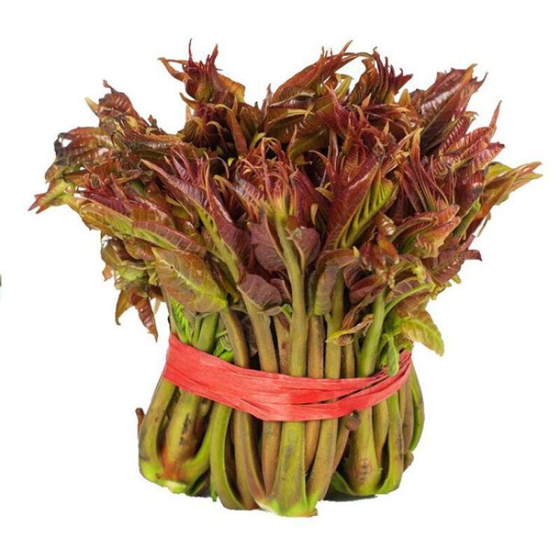 香椿芽，红油香椿，大量供应，一件代发，欢迎实地考察。