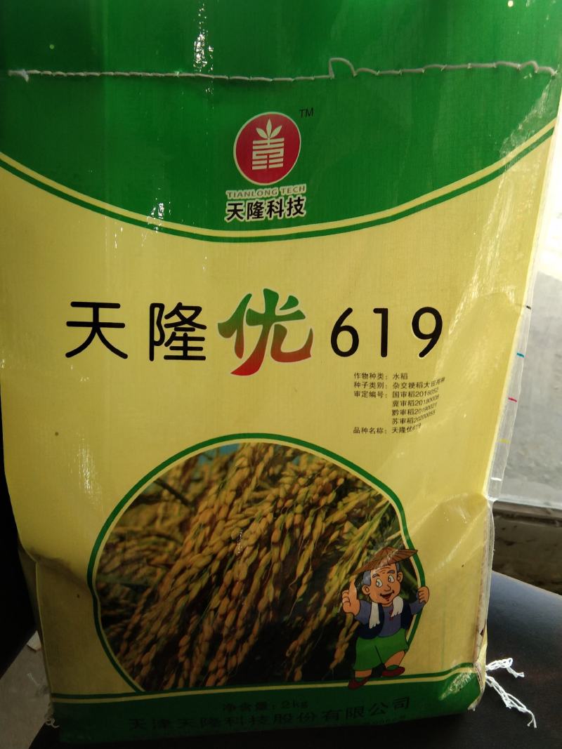 五常稻花香同等级杂交稻天隆优619
