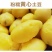 东北黄心土豆新鲜土豆