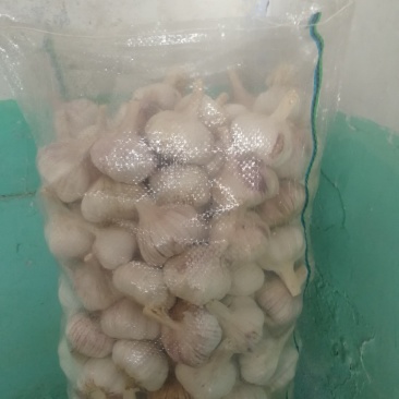 大蒜，莱芜精加工大蒜，20*40包装