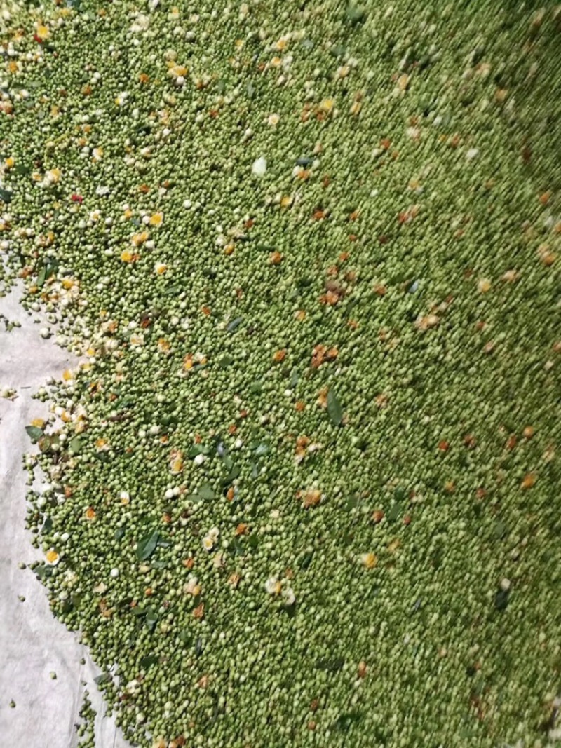 福建柘荣高山纯野生大白茶茶花，品质上乘，全国发货。