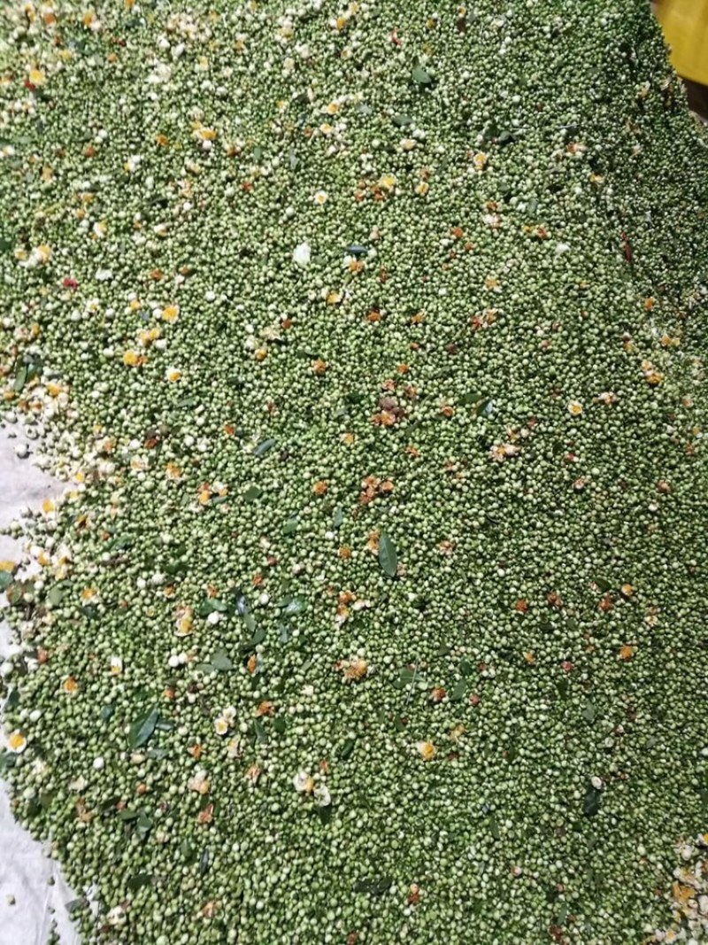 福建柘荣高山纯野生大白茶茶花，品质上乘，全国发货。